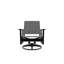 Wexler Outdoor Swivel Lounge Chair-1099678815-1102391103