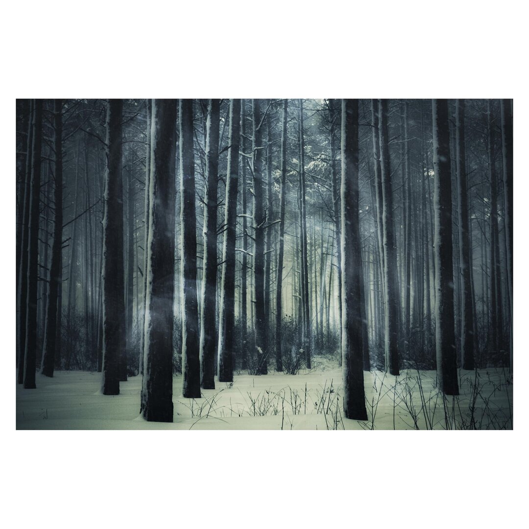 Matt Fototapete Mystischer Winterwald 2,9 m x 432 cm