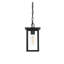 Luminaire suspendu d'extérieur 6 pouces noir Mershon