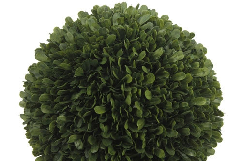 12" Artificial Boxwood Plant in Round Pot, 17 in x 12 in