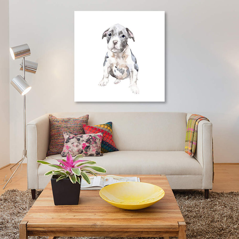 « pit bull chiot », impression sur toile, H 12 po x l 12 po x P 0,75 po
