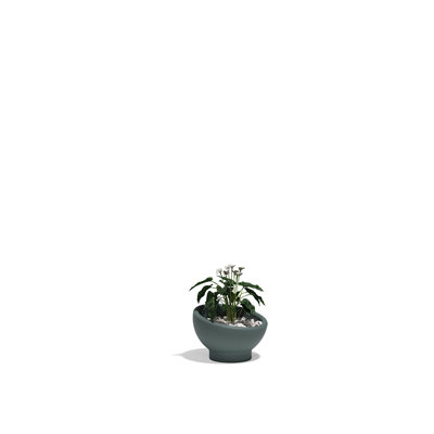 Luna Planter