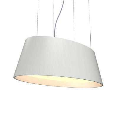 Luminaire suspendu ovale ovale à DEL 75800075