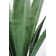 63.6'' Artificial Agave In A Square Beige Fiberstone Planter