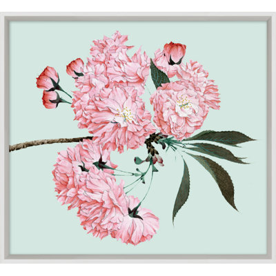 Powder Blue Blossom 3 Print