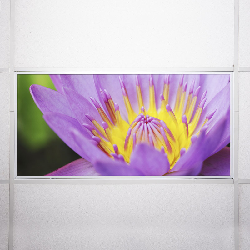 Flower Classroom Fluorescent Light Covers for Ceiling Lights - For 2x4 Fixture - by Octo Lights