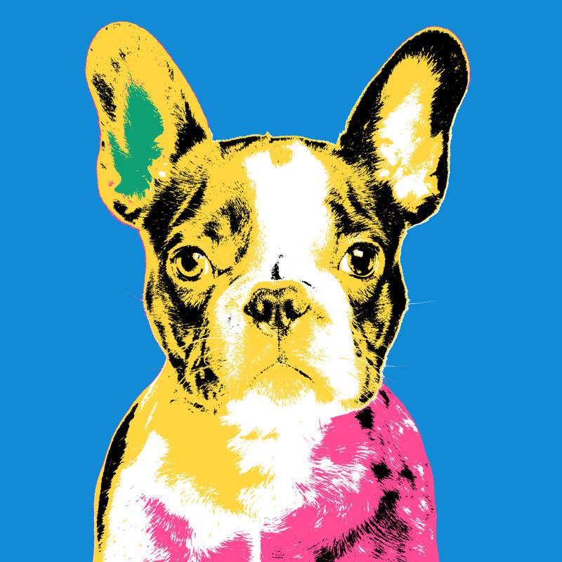 «Frenchie VII» par Guseul Park - impression sur toile tendue, H 40 po x l 40 po x P 1,5 po, Verre