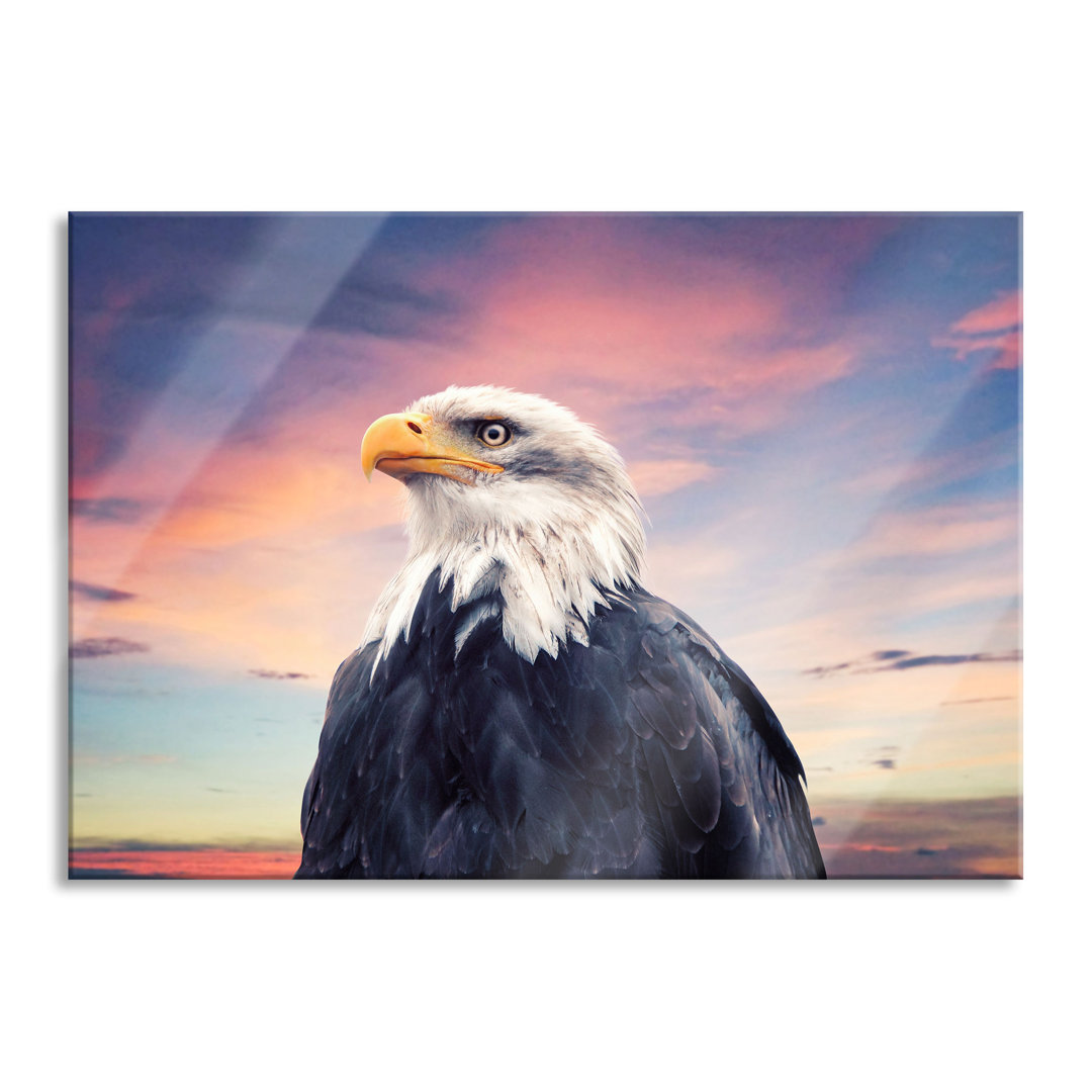 Ungerahmtes Foto auf Glas "Bald Eagle at Sunset"