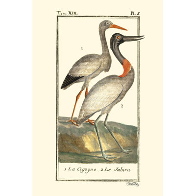 Buffon Cranes & Herons I