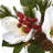 Mixed Floral Arrangement in Vase
