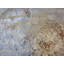 One-of-a-Kind 8'11" X 12'1" Area Rug