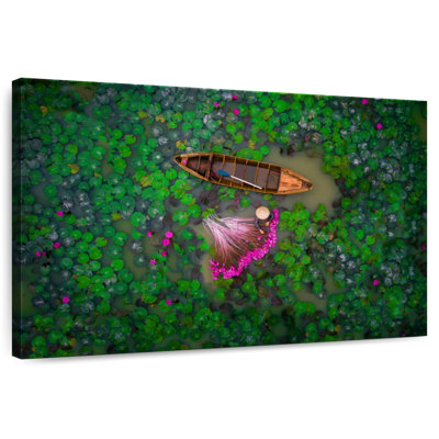 Alvord Water Lily Harvest