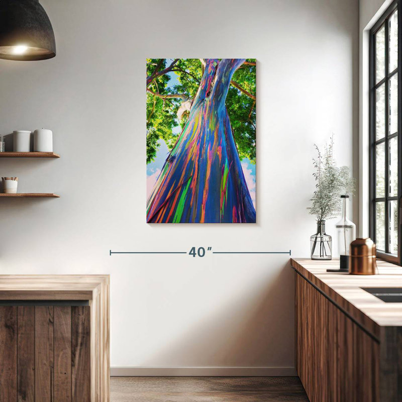 Harnek Hawaiian Rainbow Eucalyptus Tree, 36" H x 24" W