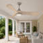 Ventilateur intelligent DEL Hinkley Fan Swell