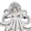 Ensemble de crochets muraux en métal Octopus 6 crochets Finnell