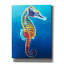 «Seahorse - Rainbow» par Dawg Painter-538992418