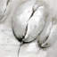 Contemporary Tulips - Art encadré pour décoration de salon