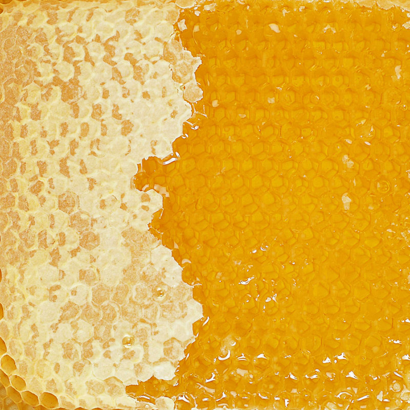 Honey Comb - photographie sur toile tendue, H 30 po x l 30 po