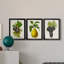 Antique Fruit VI - ensemble de 3 impressions sur toile encadrées-227612691-227612690