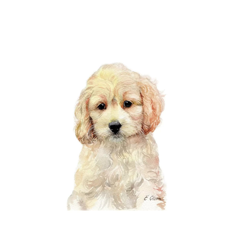 Cockapoo Puppy - Wrapped Canvas Painting