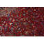 Tapis traditionnel rouge 9 x 13