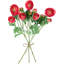 Ranunculus Sprays