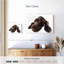 Labrador brun chocolat Brampt-107869030