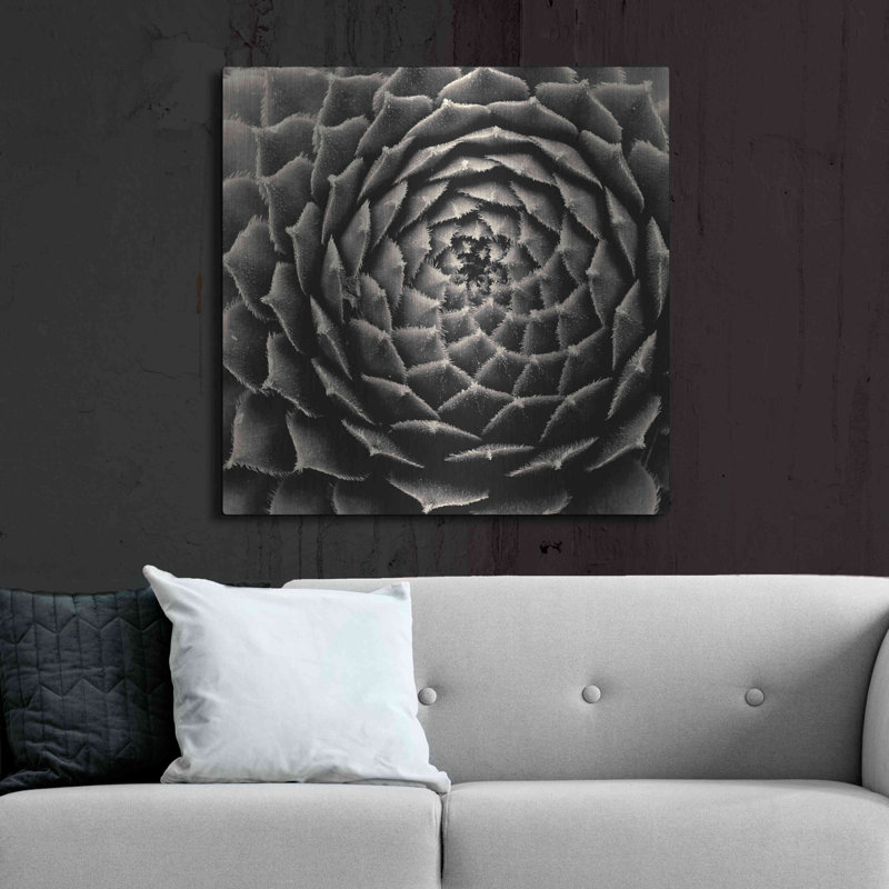 «Succulent» par Gary Horsfall, H 36 po x l 36 po