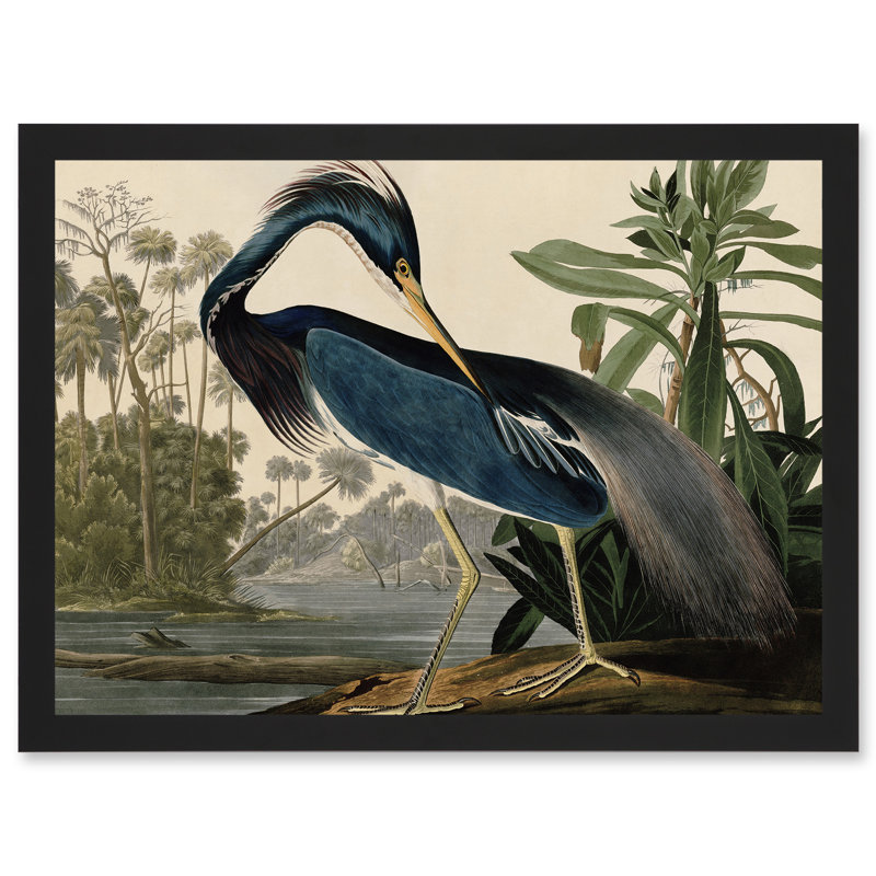 Audubon Birds Louisiana Blue Heron - Single Picture Frame Painting