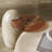 Nesting 42" Modern Round Creamy White Coffee Table, 2 pieces for Living Room