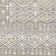 Southwestern Indoor Rug