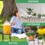 Ahull Plant Stand - Set of 5