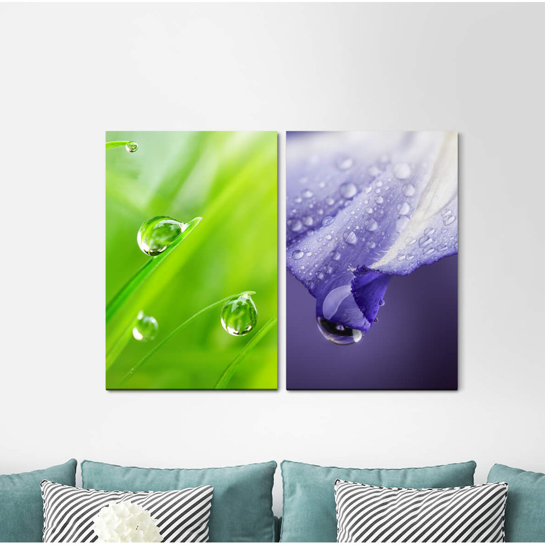 2-tlg. Leinwandbilder-Set - Grafikdruck „Grass Green Blades of Grass Drops Violet Refreshing”