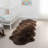 Fraga Sheepskin Indoor Rug-2015399451
