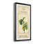 Linnaean Botany V - peinture sur toile encadrée-1872804159-1872804097