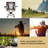 Folding Camping Chair