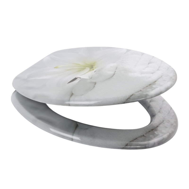 Elongated Toilet Seat and Lid