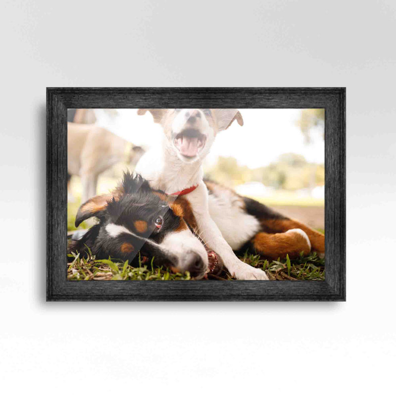 Cadre photo Kaise, Gris foncé, L 12 po x H 32 po