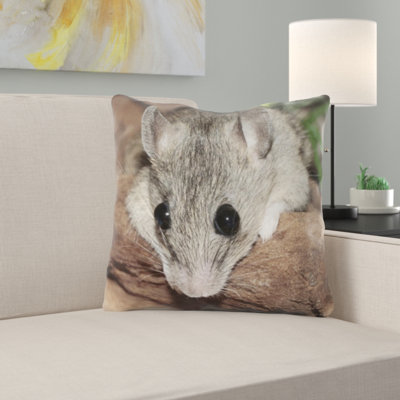 Coussin mastomys