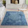 Cristian Oriental Indoor Rug