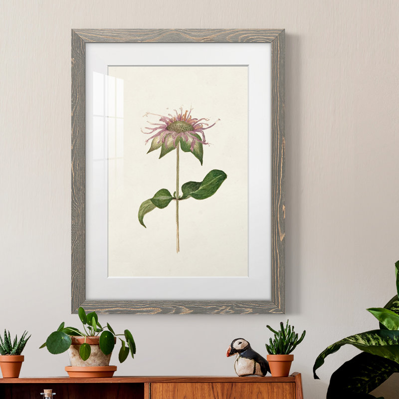 Mauve Garden Flowers V - peinture encadrée, H 32 po x l 23 po x P 1 po, Encadré gris