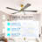 5 - Blade Propeller Ceiling Fan With Remote Control