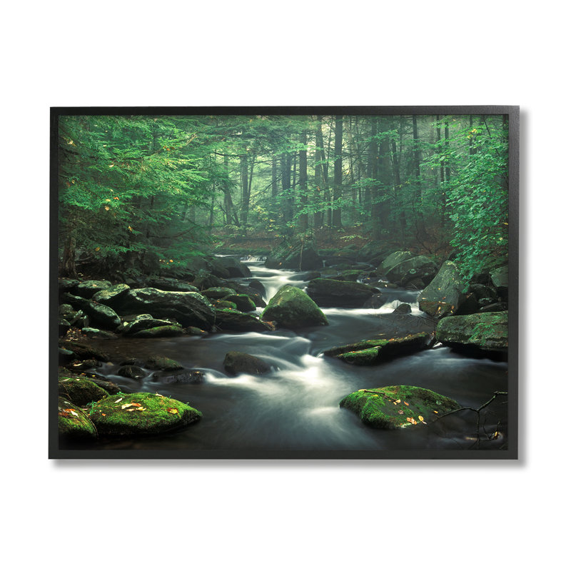 "Stupell Industries Woodland Creek", art mural sur toile par Patrick Zephyr, Giclée encadrée noir minuit