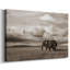 Toile tendue Maasai Majesty-1130755640