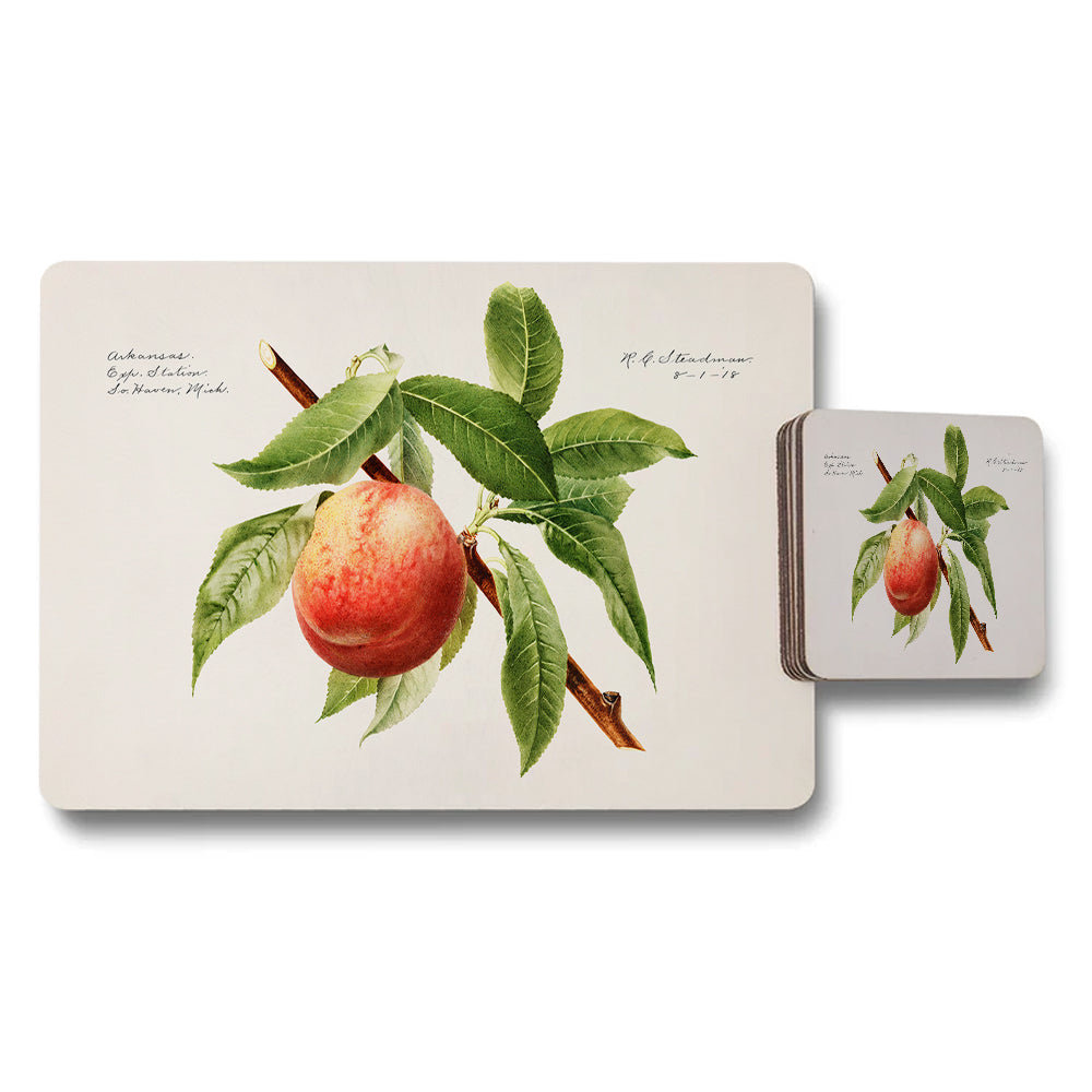 Peach Botanical Placemat Coaster Set With Vintage Fruit Illustration