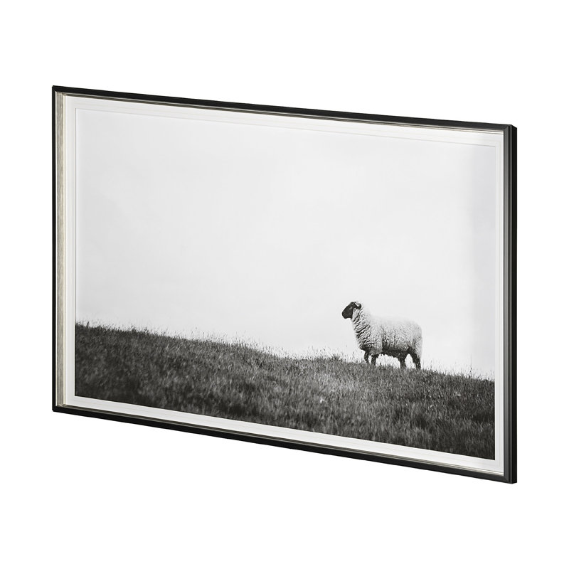 «Islay Sheep I» par Laura Marshall, reproduction d'art encadrée sous verre, Lady Sheep II