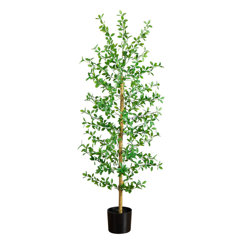 Artificial Shady Lady Black Olive Tree, 60" H x 20" W x 20" D