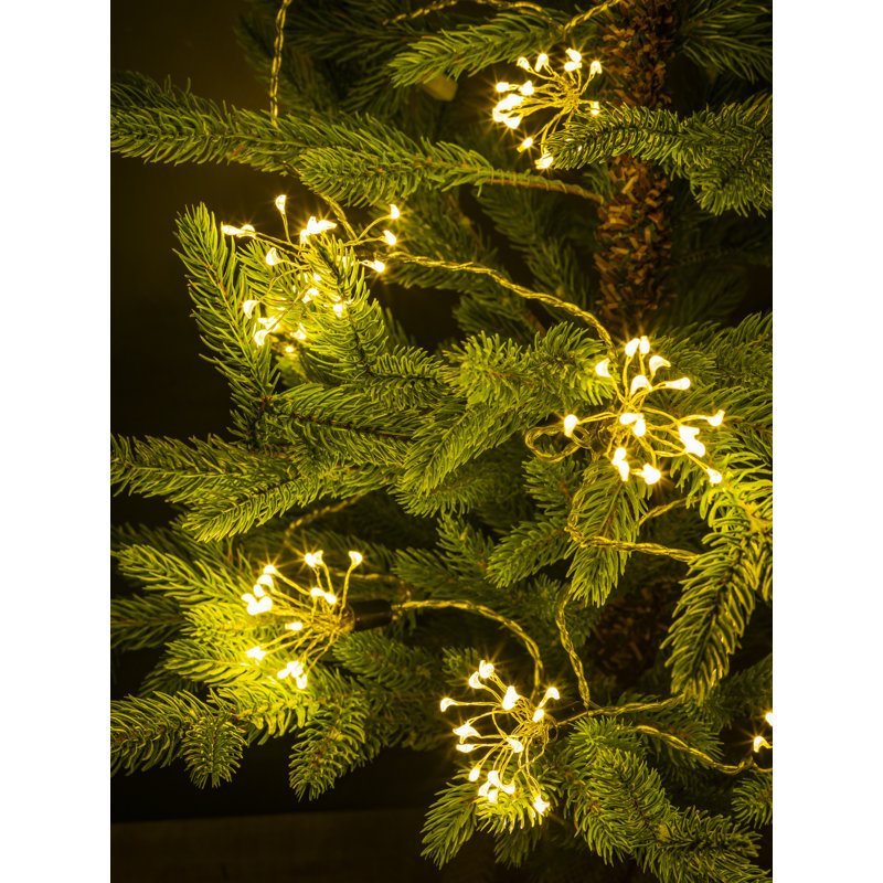 LED Indoor / Outdoor String Lights