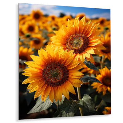 Tournesol jaune et vert Sunshine Blooms II - art mural floral et botanique en métal pour salon