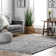 Kinard Shag Tasseled Power Loom Performance Gray Rug